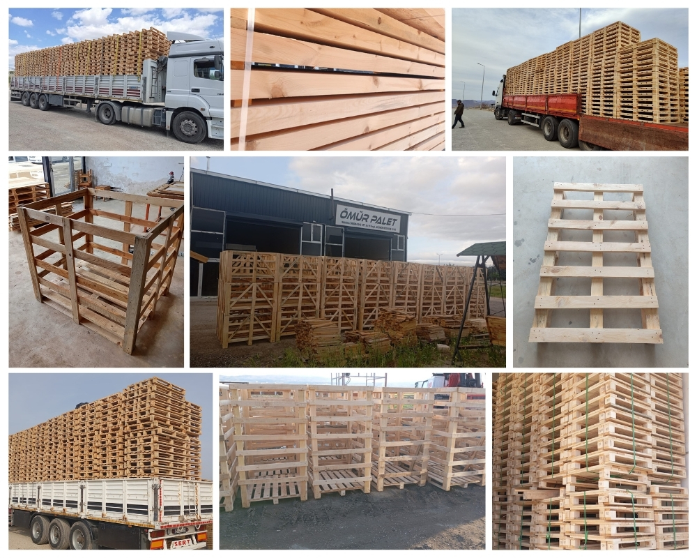 Hasselt Houten Kisten, Europallets Groothandel Kopen